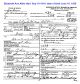 Elizabeth Ann Albin death certificate .jpg